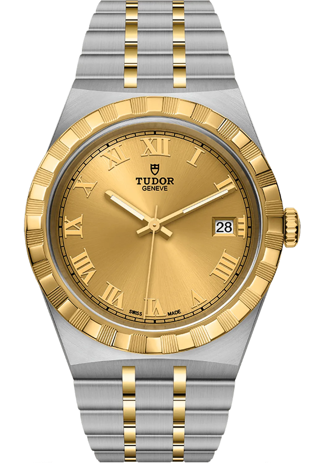 Tudor Royal Ref - M28503-0003