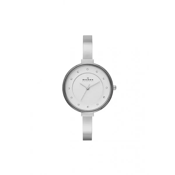 Skagen Strap SKW2228 for the Skagen Watch SKW2228