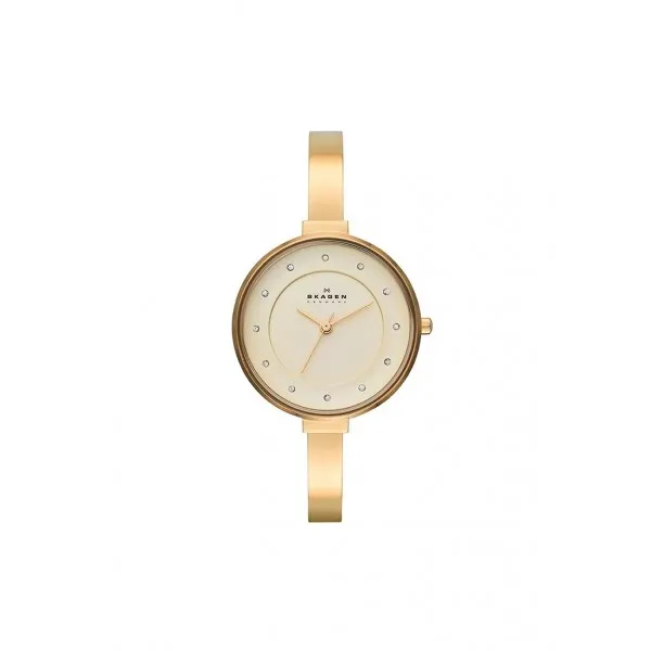 Skagen Strap SKW2229 for the Skagen Watch SKW2229