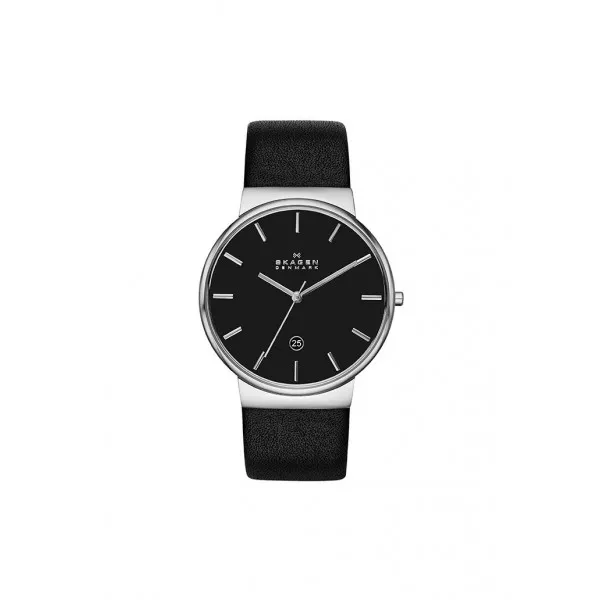 Skagen Strap SKW6104 for the Skagen Watch SKW6104