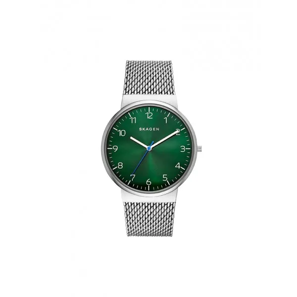 Skagen Strap SKW6184 for the Skagen Watch SKW6184