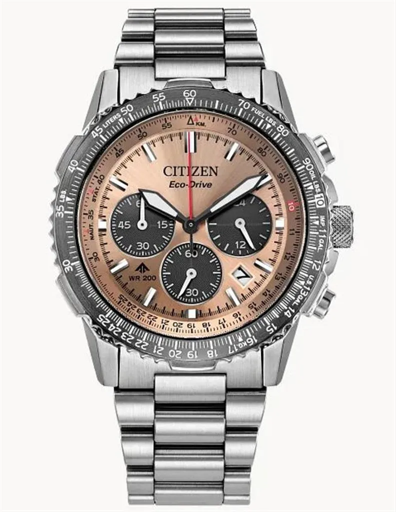 "Promaster Navihawk" Silver Stainlesssteel Men's Watch with a Salmon-c